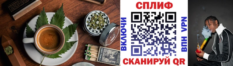 где можно купить   Сальск  Canna-Cookies марихуана 